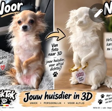 Jouw huisdier in 3D — beeld 1